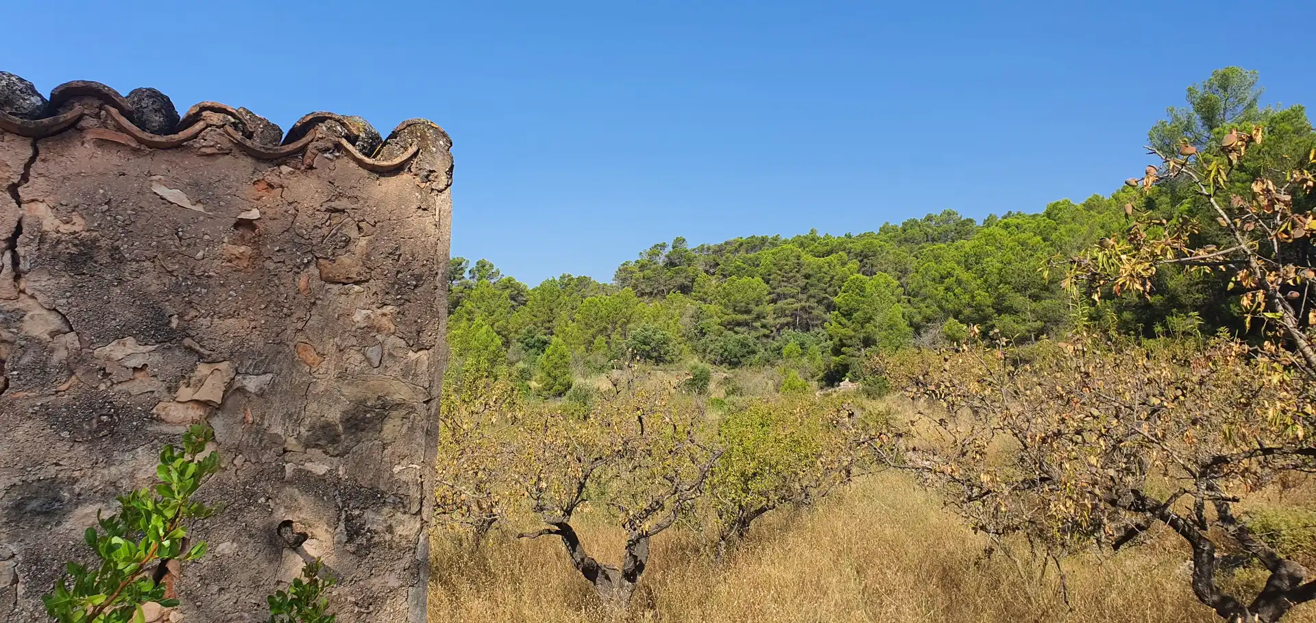 Jardín de Casa o chalet en venta en Benifallet
