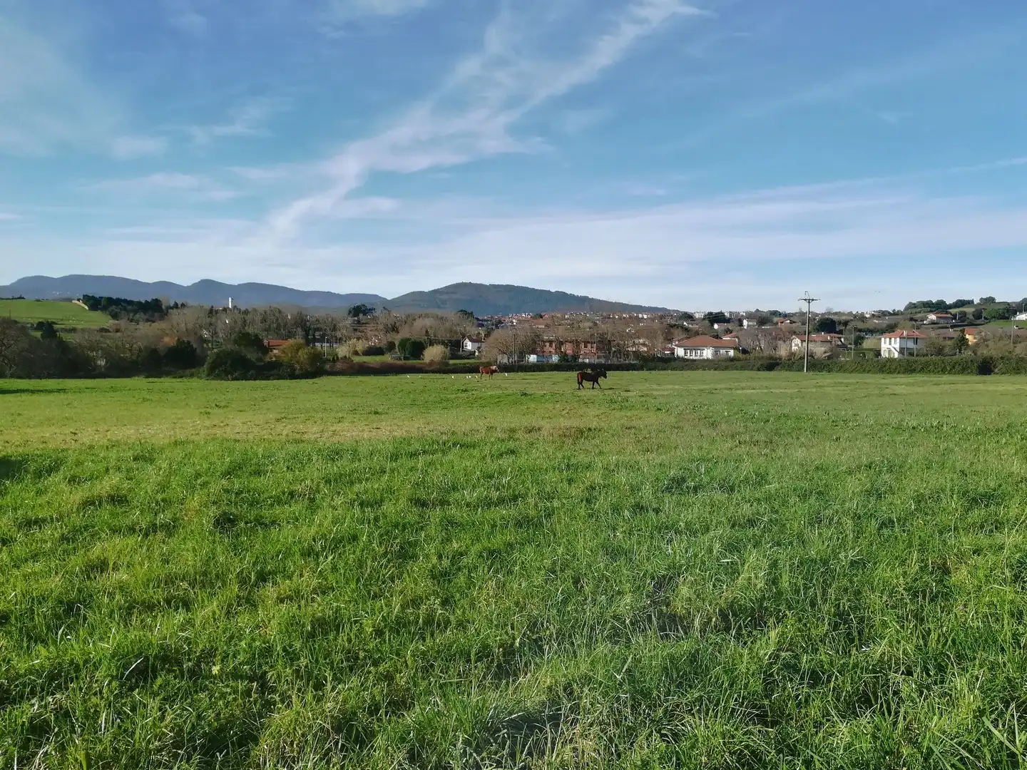 Rustikales Grundstück zum Verkauf in Santa María de Getxo