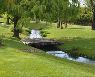 Jardí de Casa o xalet en venda en Pozuelo de Alarcón amb Aire condicionat, Calefacció i Jardí privat