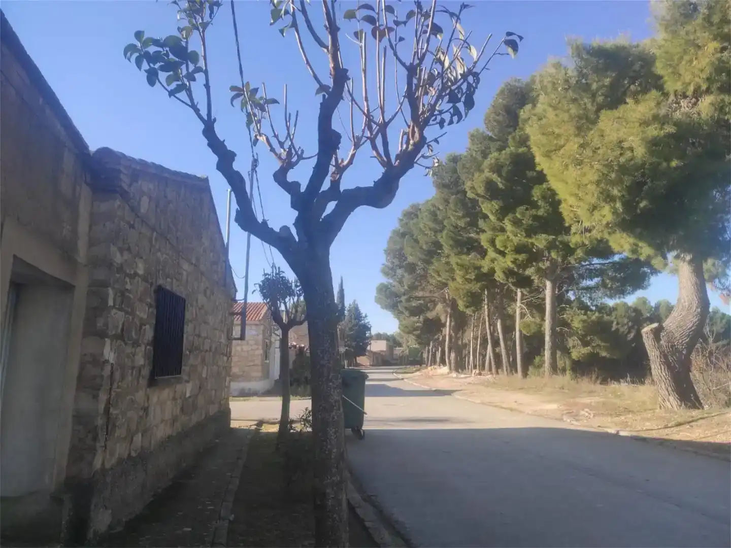 Vista exterior de Finca rústica en venda en Sádaba