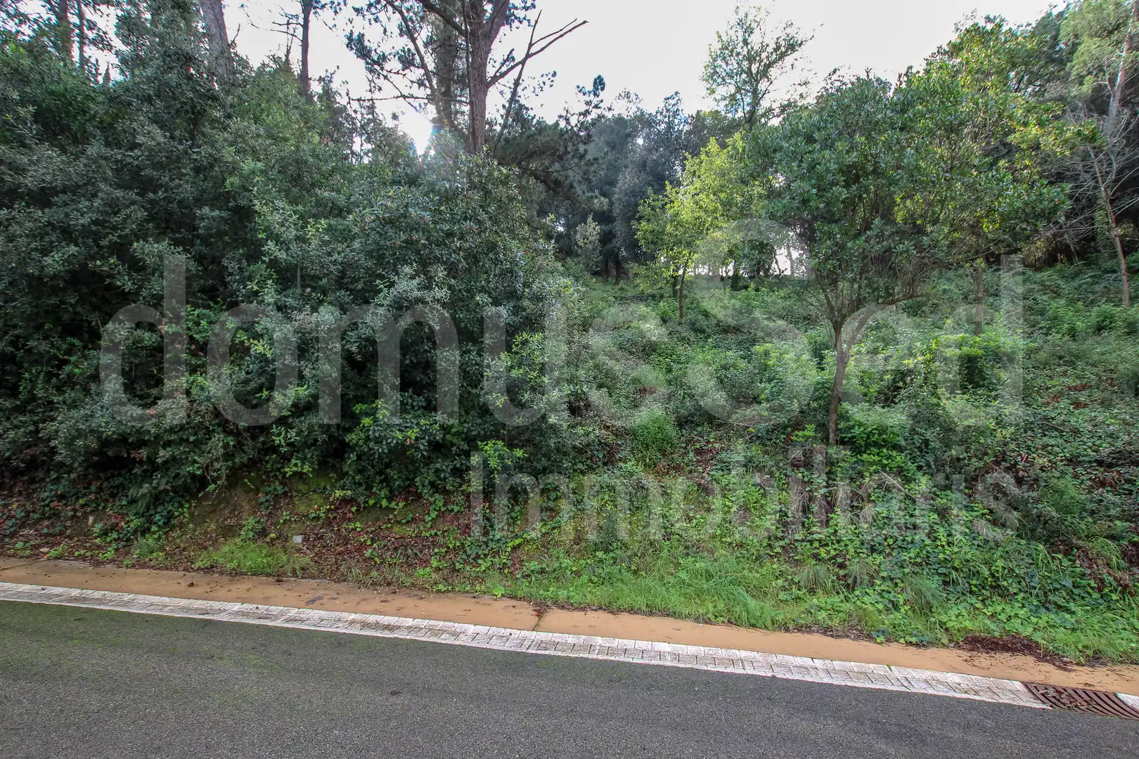 Wohnbaugrundstück zum Verkauf in Vallromanes, imagen 6