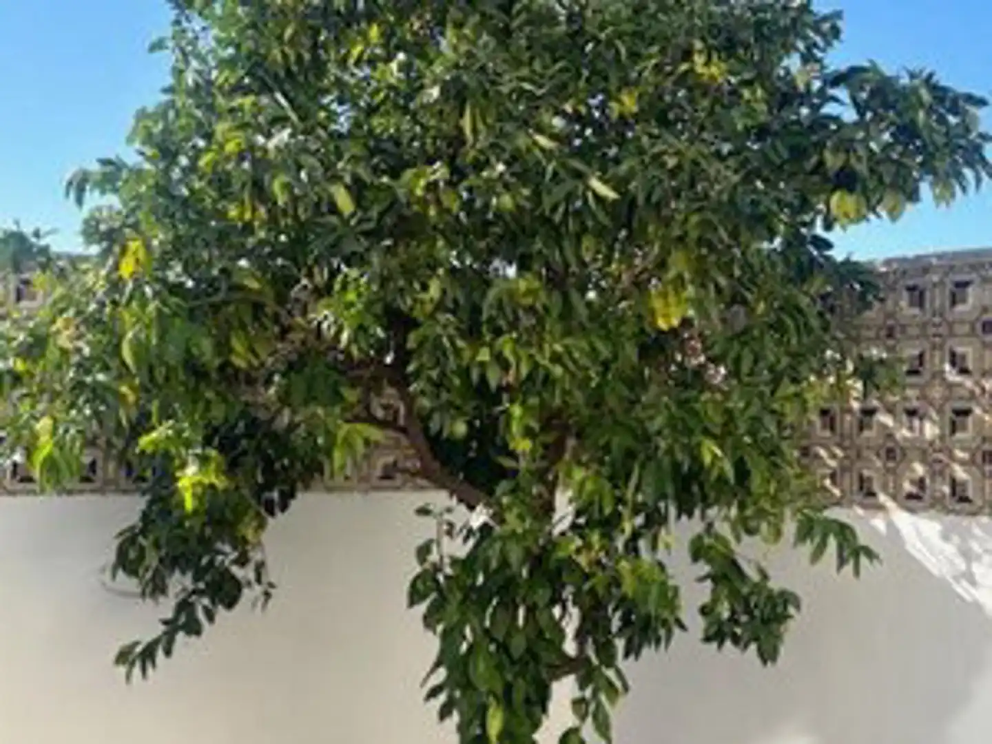 Terraced house for sale in Santa Isabel - Movera, imagen 2