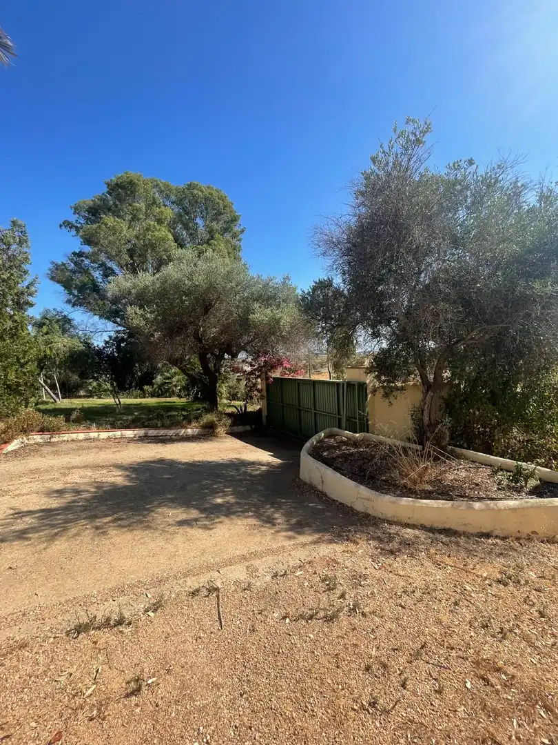 Vista exterior de Finca rústica en venta en Ayamonte con Jardín privado y Terraza
