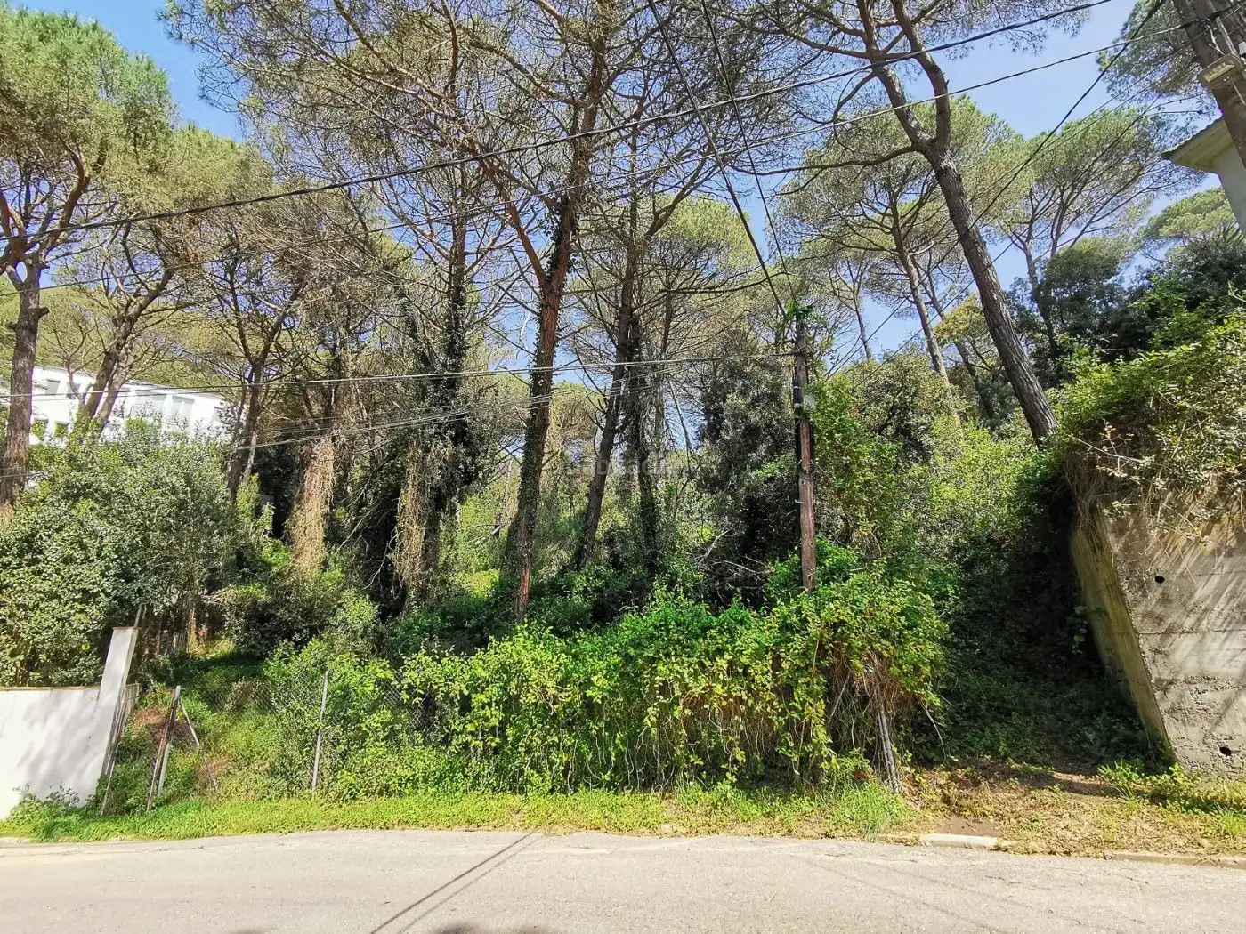 Terreny residencial en venda a Carrer Mil Pins 61, imagen 8