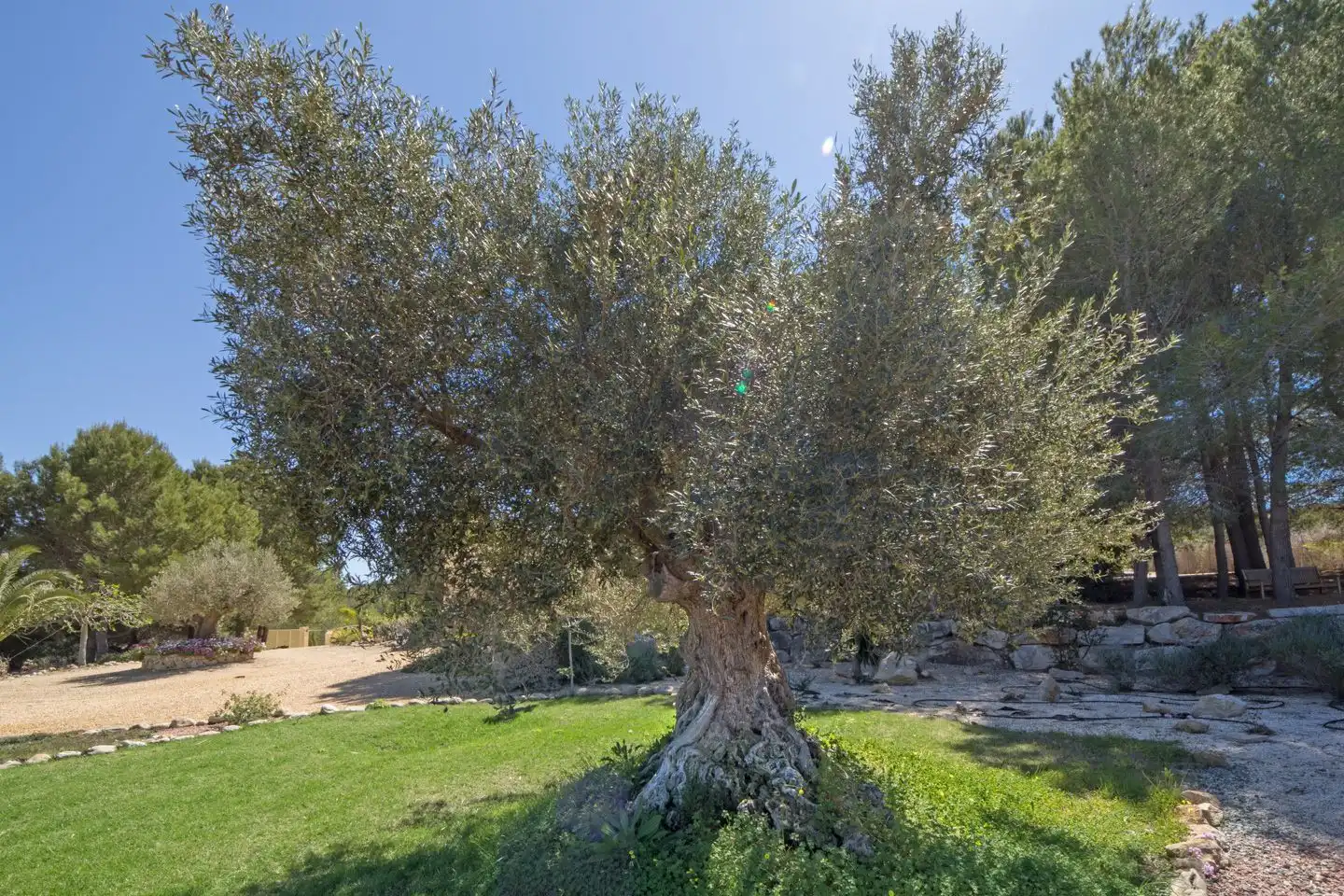 Jardí de Casa o xalet en venda en Jávea / Xàbia amb Aire condicionat, Calefacció i Traster