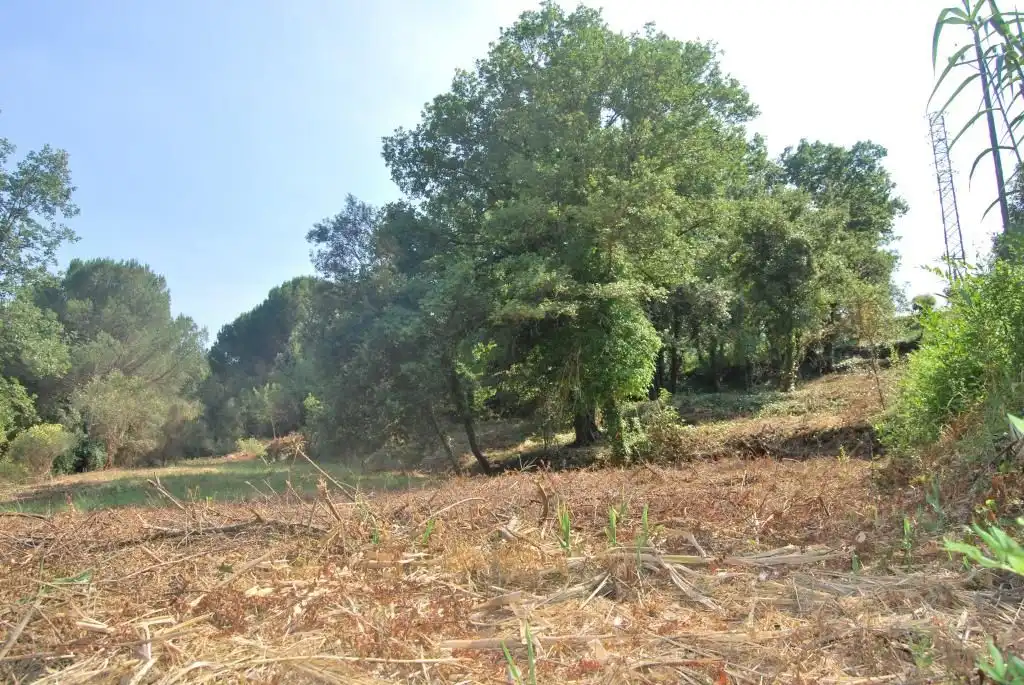 Terreny rústic en venda a Sant Celoni, imagen 21
