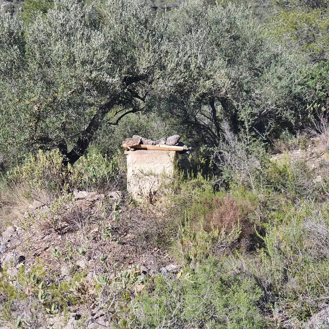 Terrain rustique à vendre à Benifallet, imagen 12