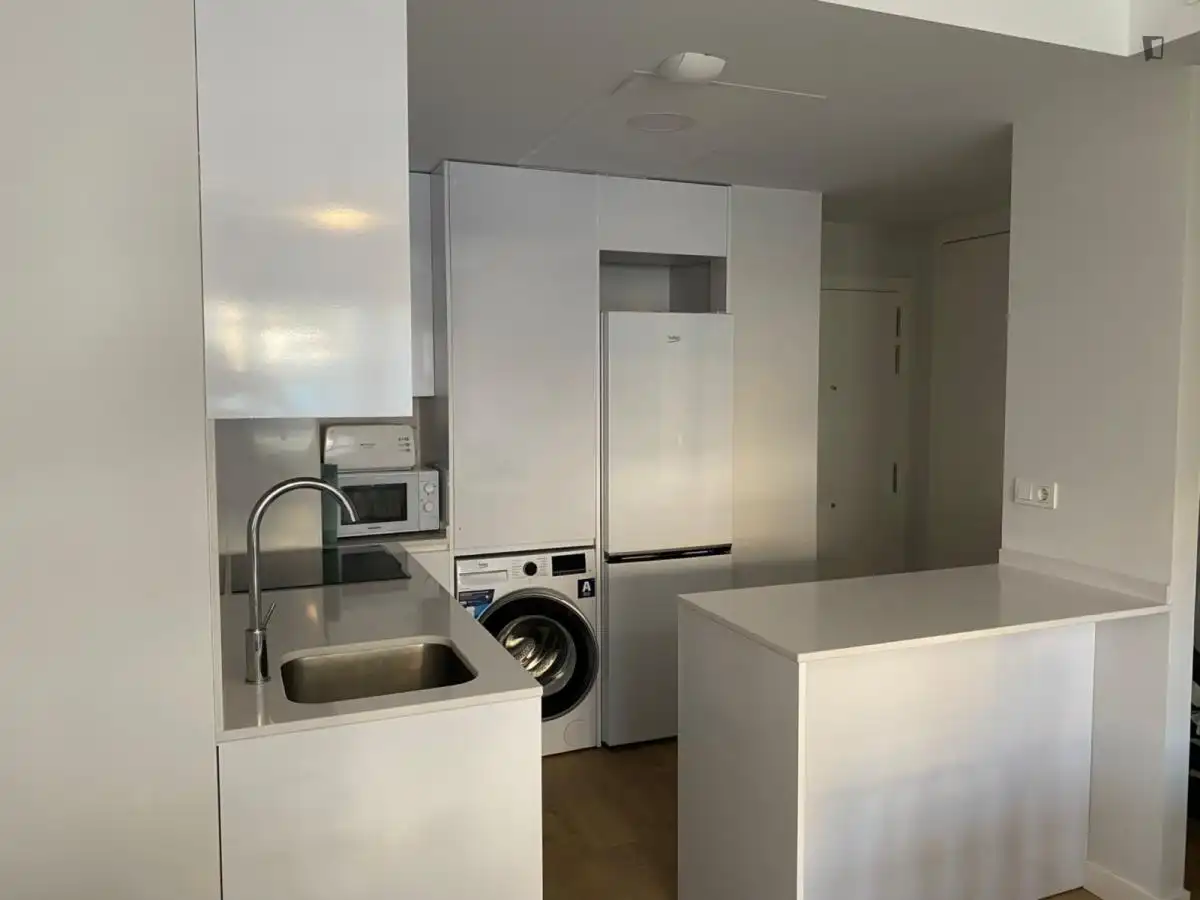 Apartments for rent in La Malagueta - Monte Sancha