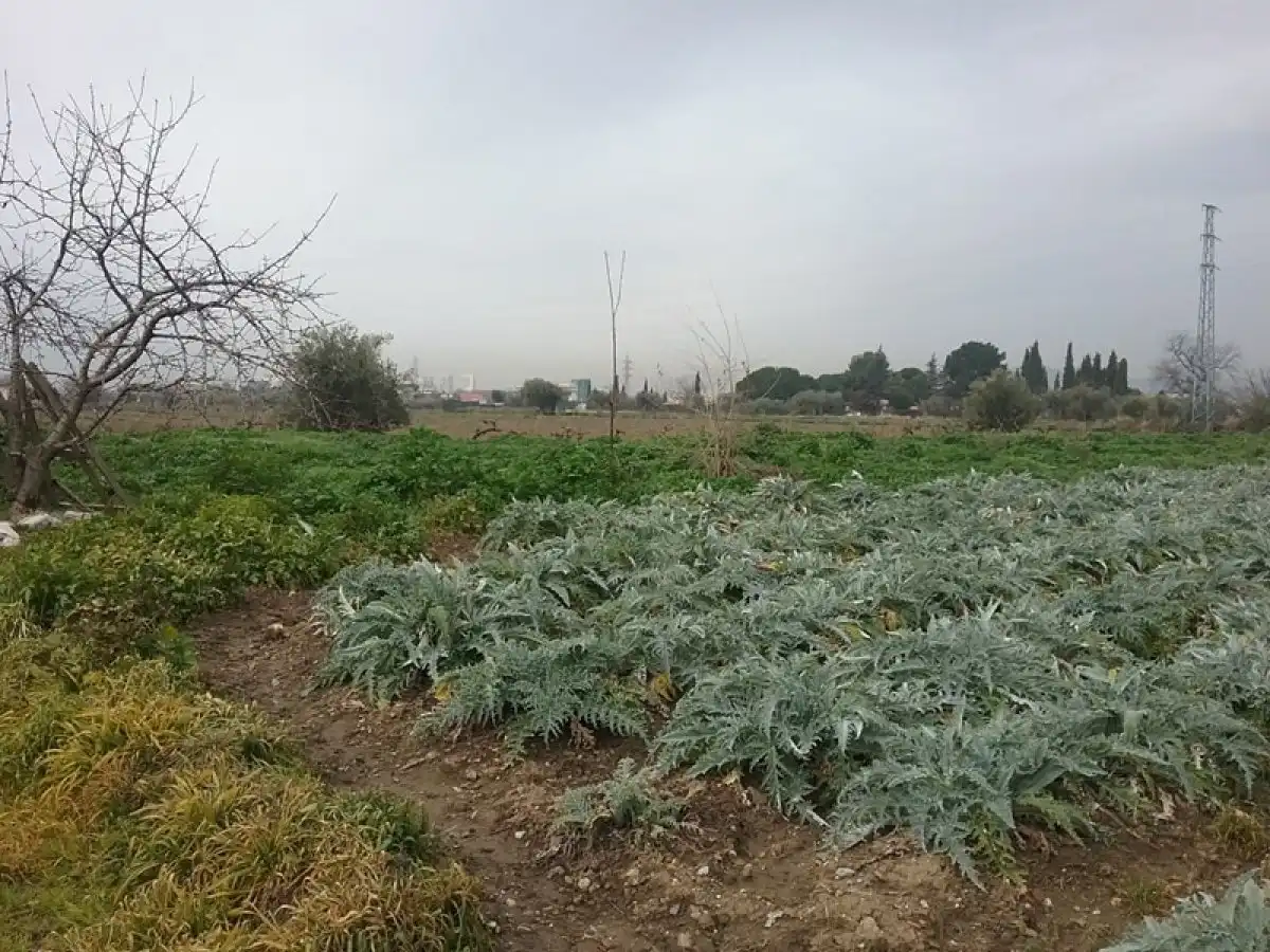 Country homes for sale in Granada