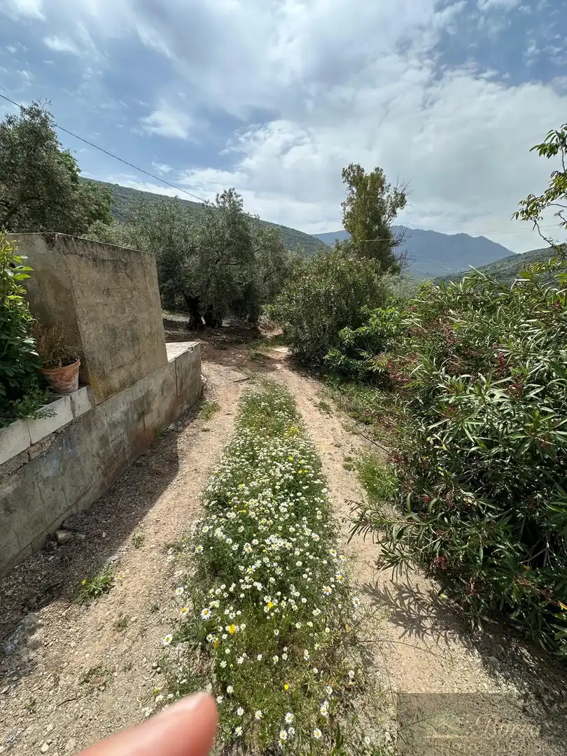 Maison avec piscine à vendre à Rute, imagen 14