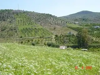 Terreni e lotti in vendita a Avenida de San Roque, imagen 4