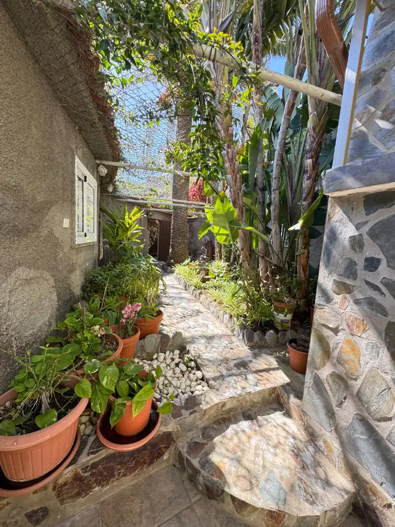 Casa o xalet en venda a Fasnia