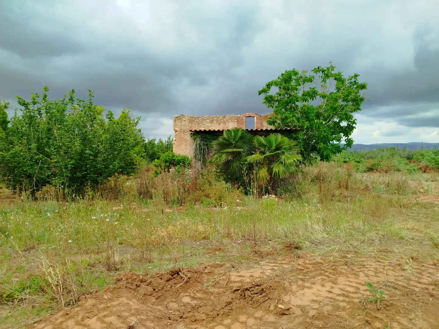 Land for sale in Vilallonga del Camp