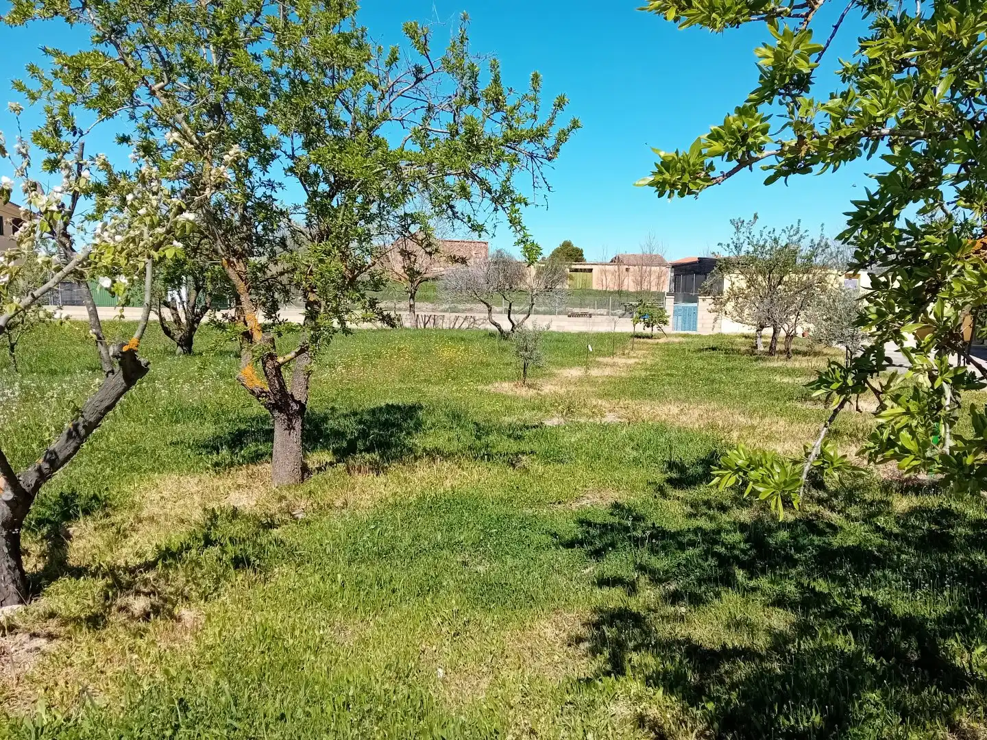 Flat for sale in Cózar