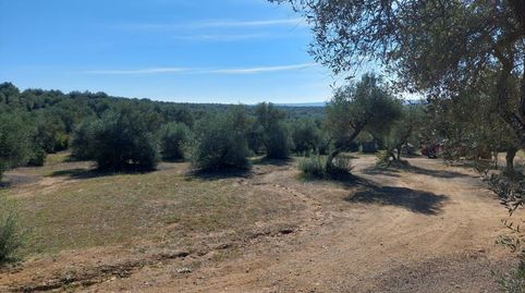 Foto 4 de Pis en venda a Lora del Río, Sevilla