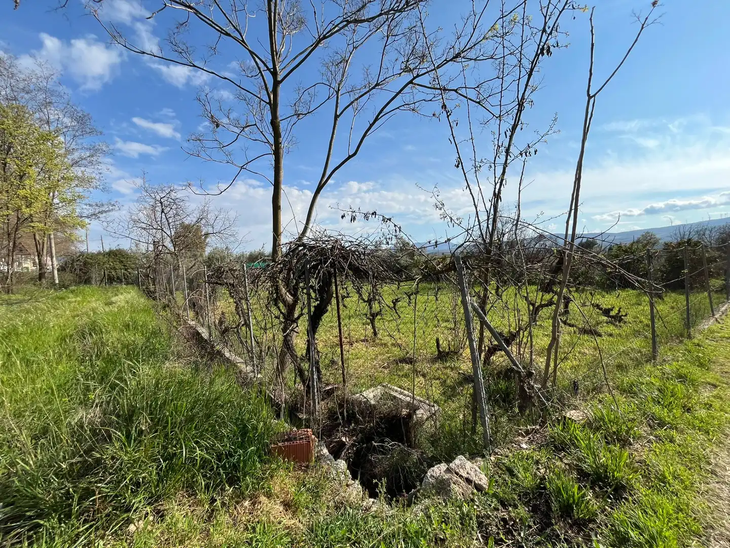 Land for sale in Dúrcal