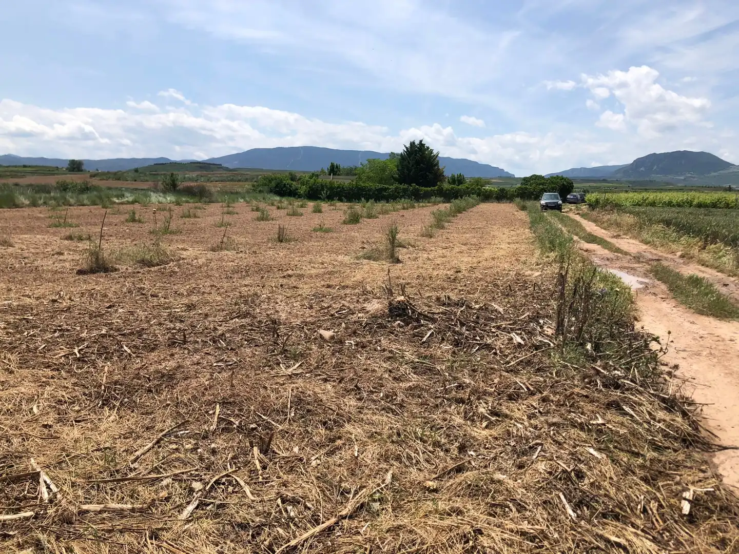 Terreny rústic en venda a Murillo de Río Leza, imagen 18