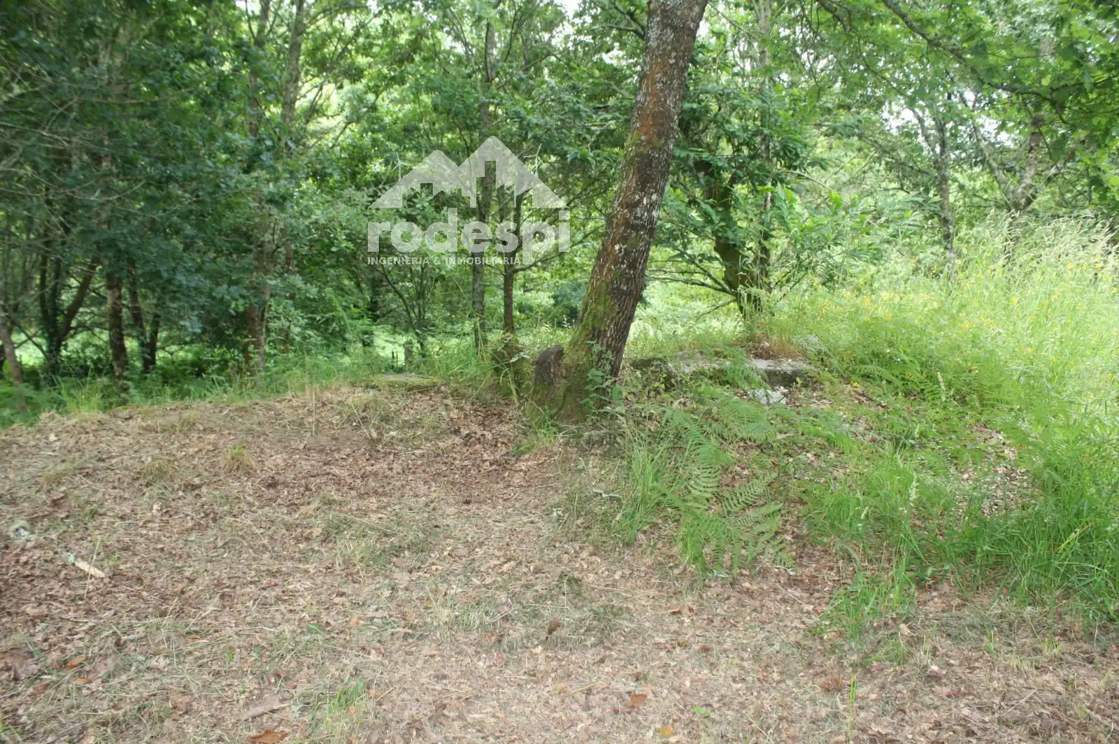 Casa en venda a Ponteareas, imagen 15