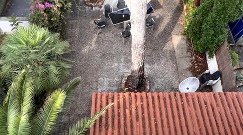 Photo 4 of Building for sale in Carrer de Sant Ramon Nonat, Les Maravelles, Illes Balears