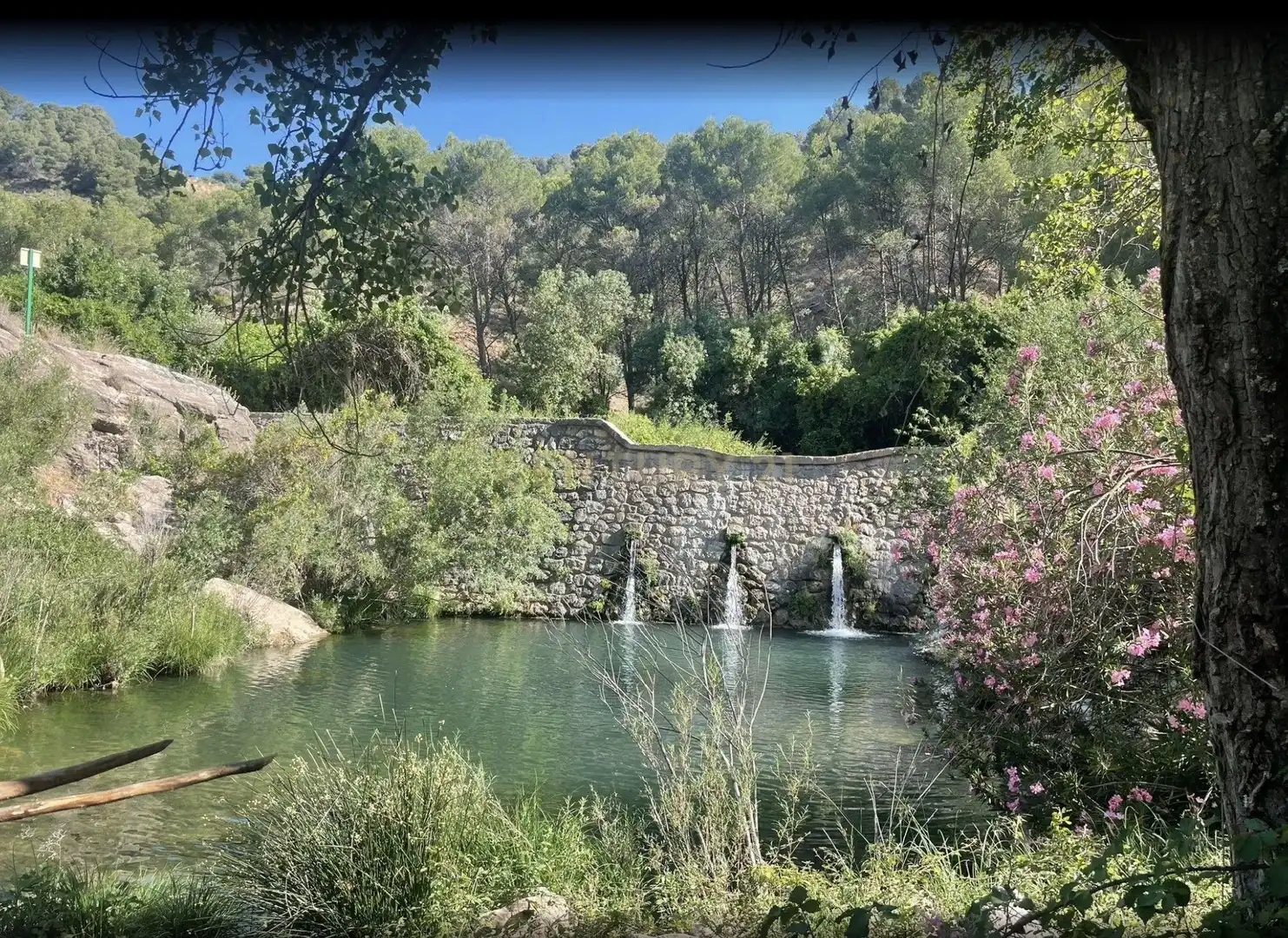 Piscina de Casa o xalet en venda en El Burgo