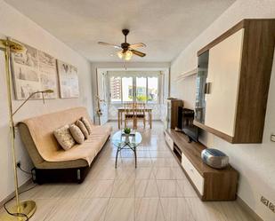 Living room of Flat for sale in Alicante / Alacant  with Furnished