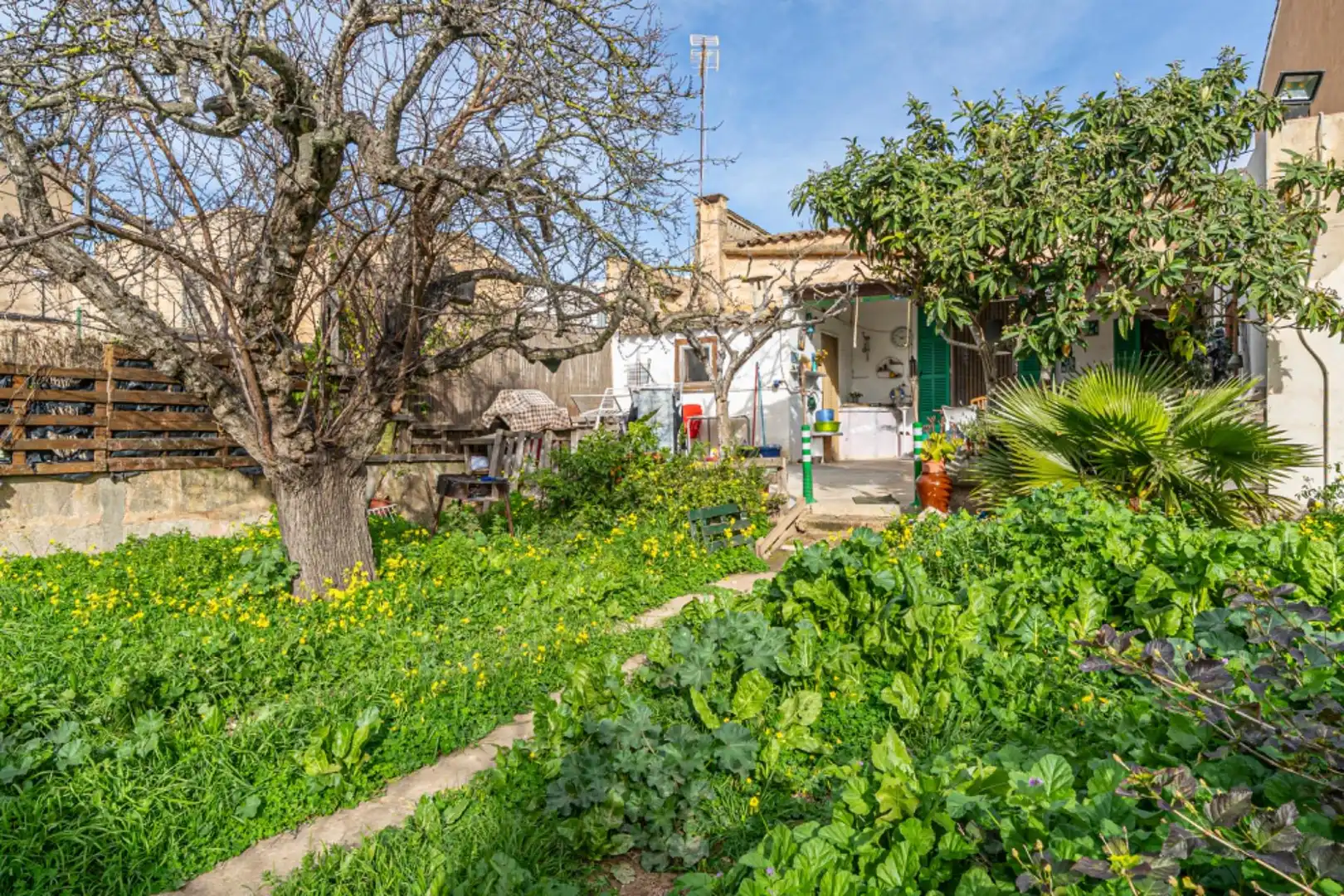 Jardí de Casa o xalet en venda en Felanitx