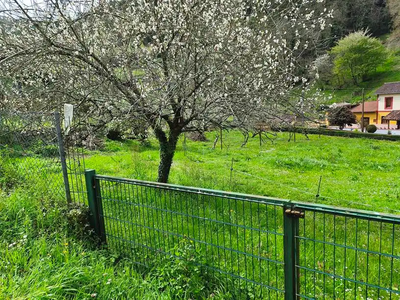 Terreno residencial en venta en Aldea Ferreras 24, imagen 6