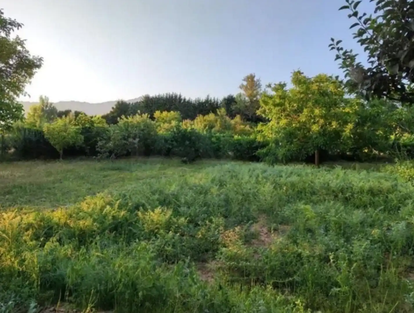 Finca rústica en venda en Quintanaélez amb Calefacció i Terrassa