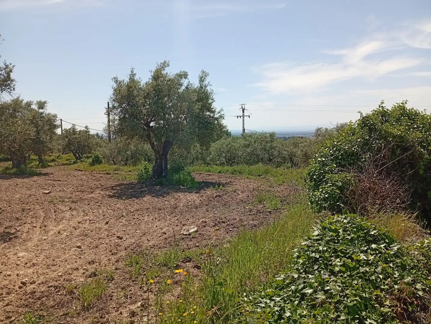 Terreni e lotti in vendita a Villanueva de la Vera, imagen 6