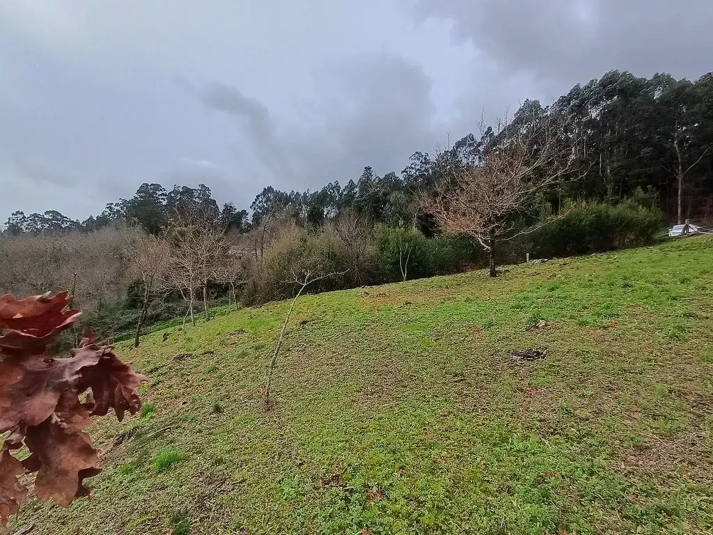 Residencial en venda en A Cañiza  
