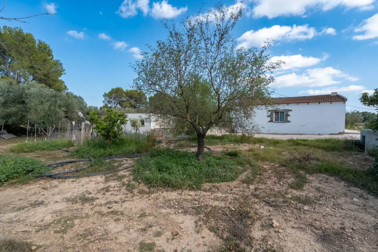 Casa o xalet en venda en Tortosa amb Traster, Piscina i Moblat