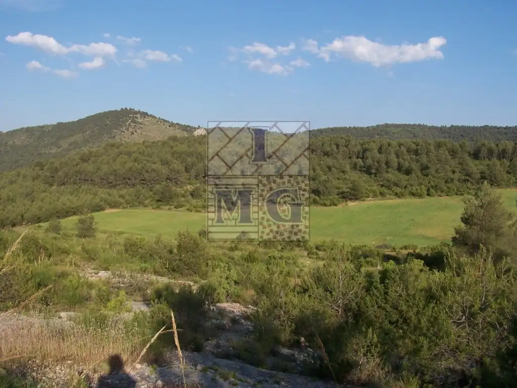 Finca rústica en venta en Yeste