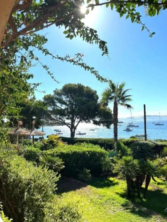 Jardí de Casa o xalet en venda en Alcúdia amb Calefacció, Jardí privat i Terrassa