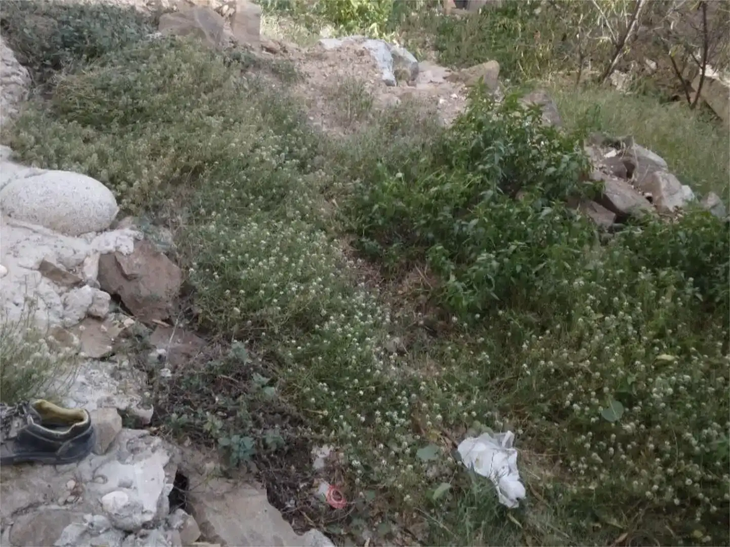 Terreno en venta en Barcelona