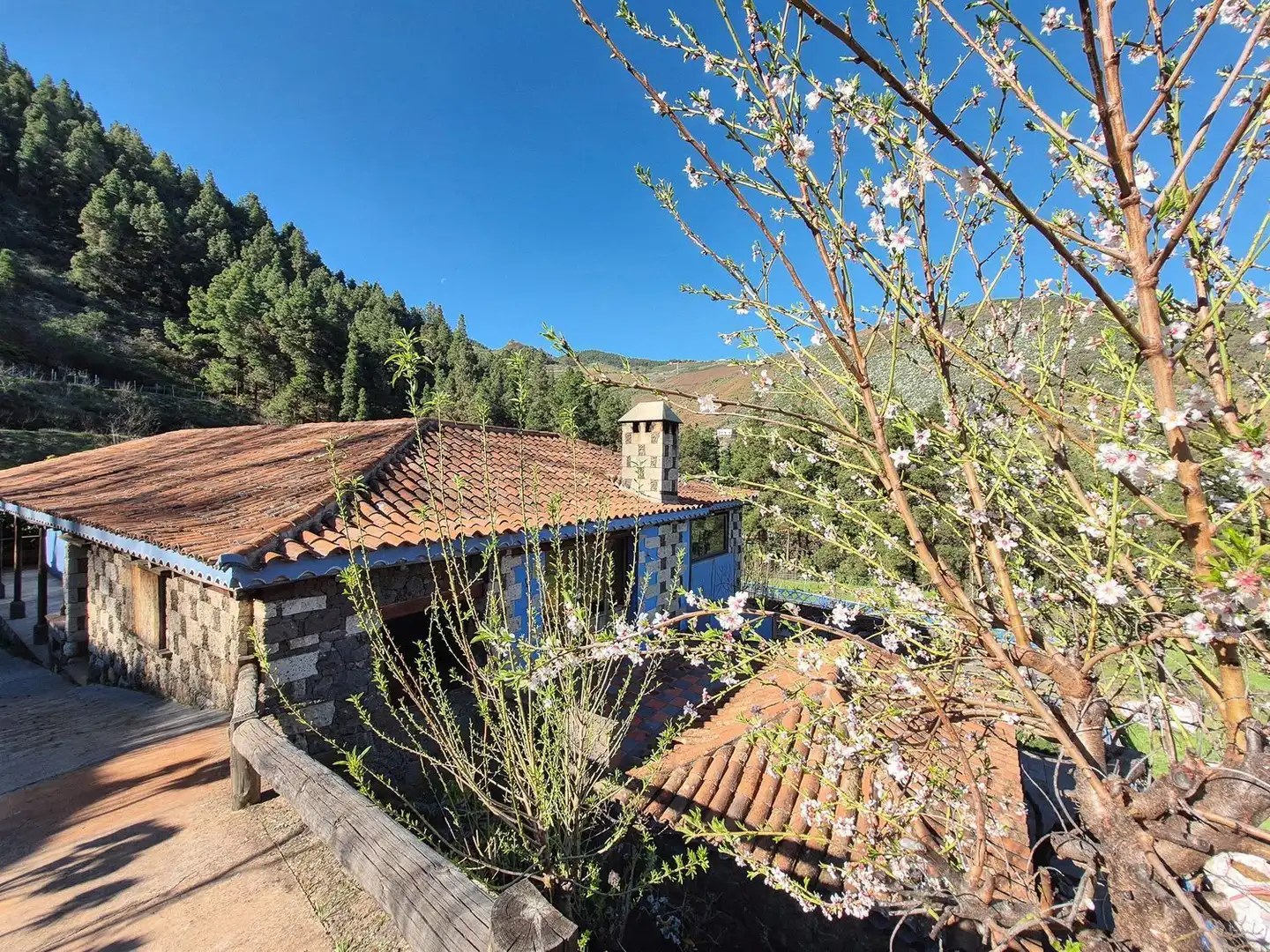 Xalet amb jardí en venda a Vega de San Mateo, imagen 3