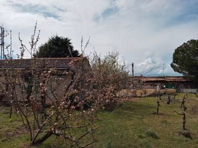 Finca rústica en venda en Muelas del Pan