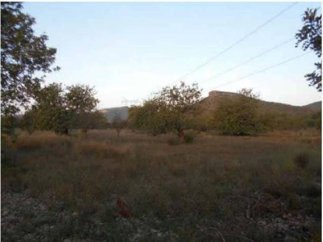 Terreno en Venta en Buñol