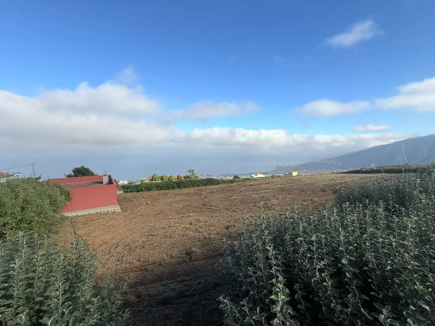 Finca rústica en venda en La Orotava