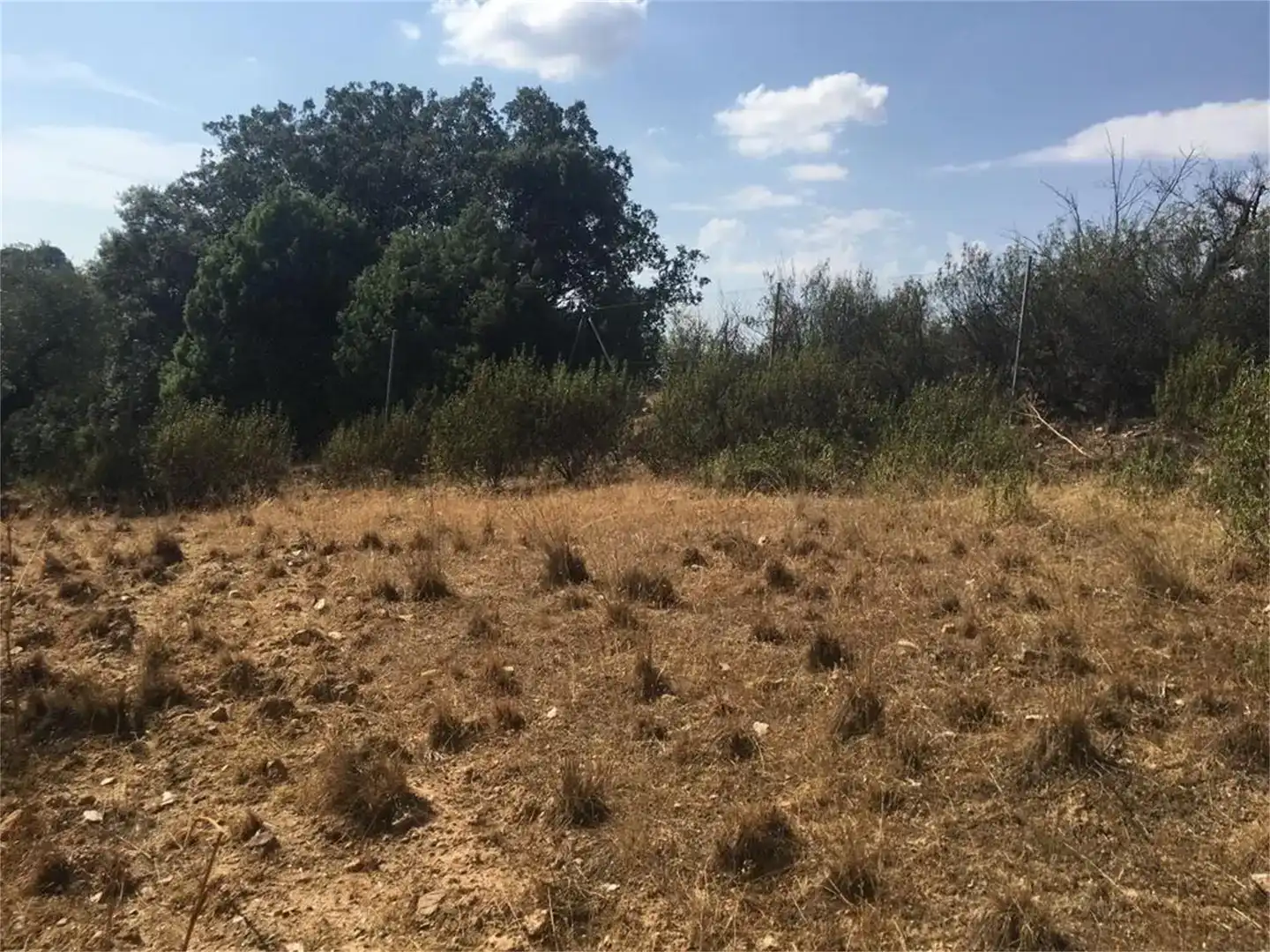 Land for sale in Hontanar