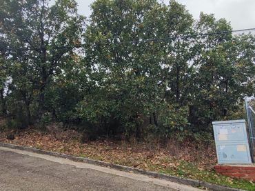 Terreny residencial en venda a Calle de la Luz 131