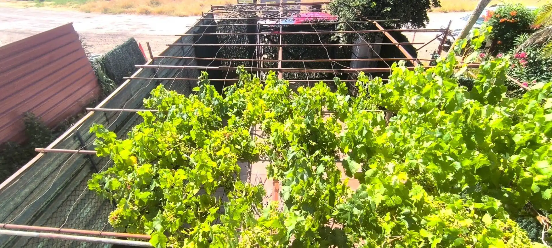Terreni e lotti in vendita a Albelda de Iregua, imagen 18