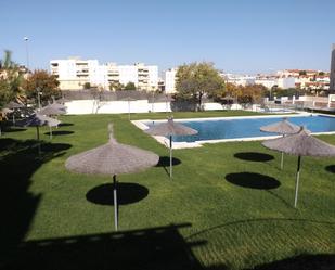 Flat to rent in Nueva Alcalá