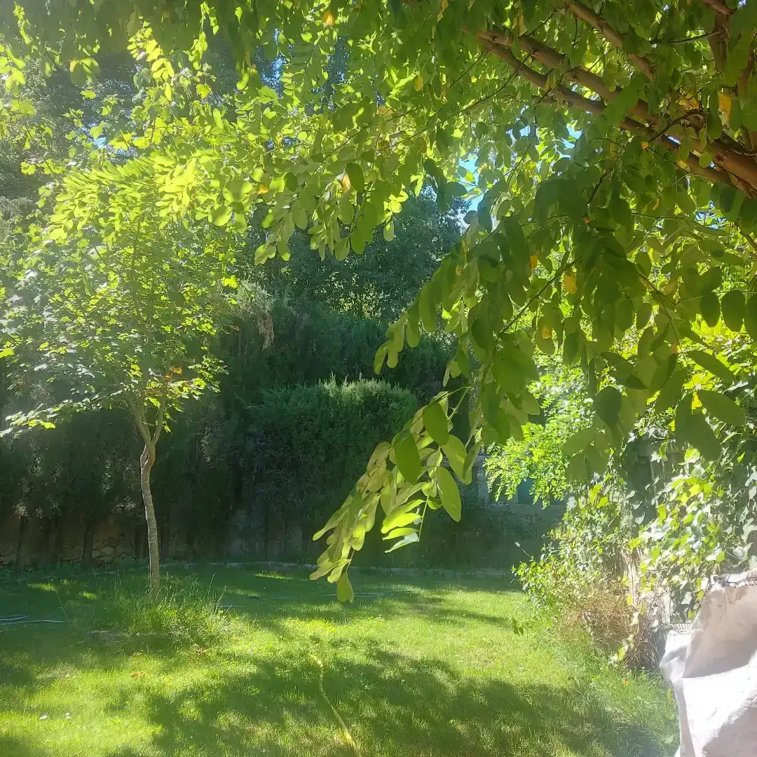 Jardí de Pis en venda en Bustarviejo amb Jardí privat, Traster i Moblat