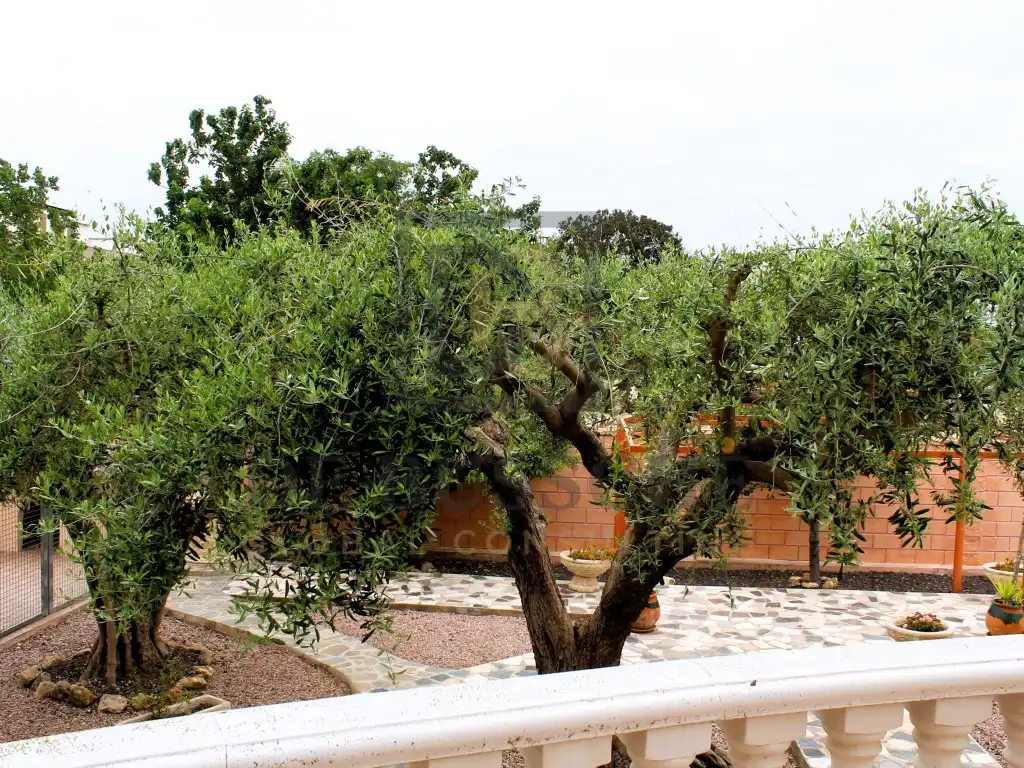 Jardín de Casa adosada en venta en Orihuela con Jardín privado y Terraza