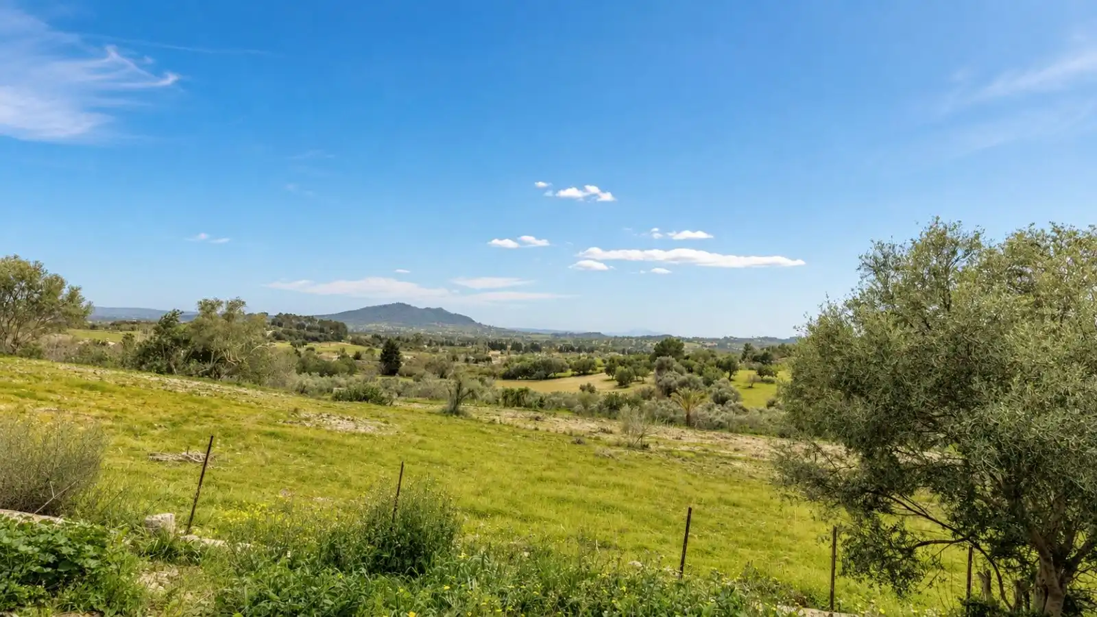 Residential for sale in Selva