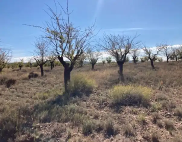 Rustikales Grundstück zum Verkauf in Requena, imagen 6