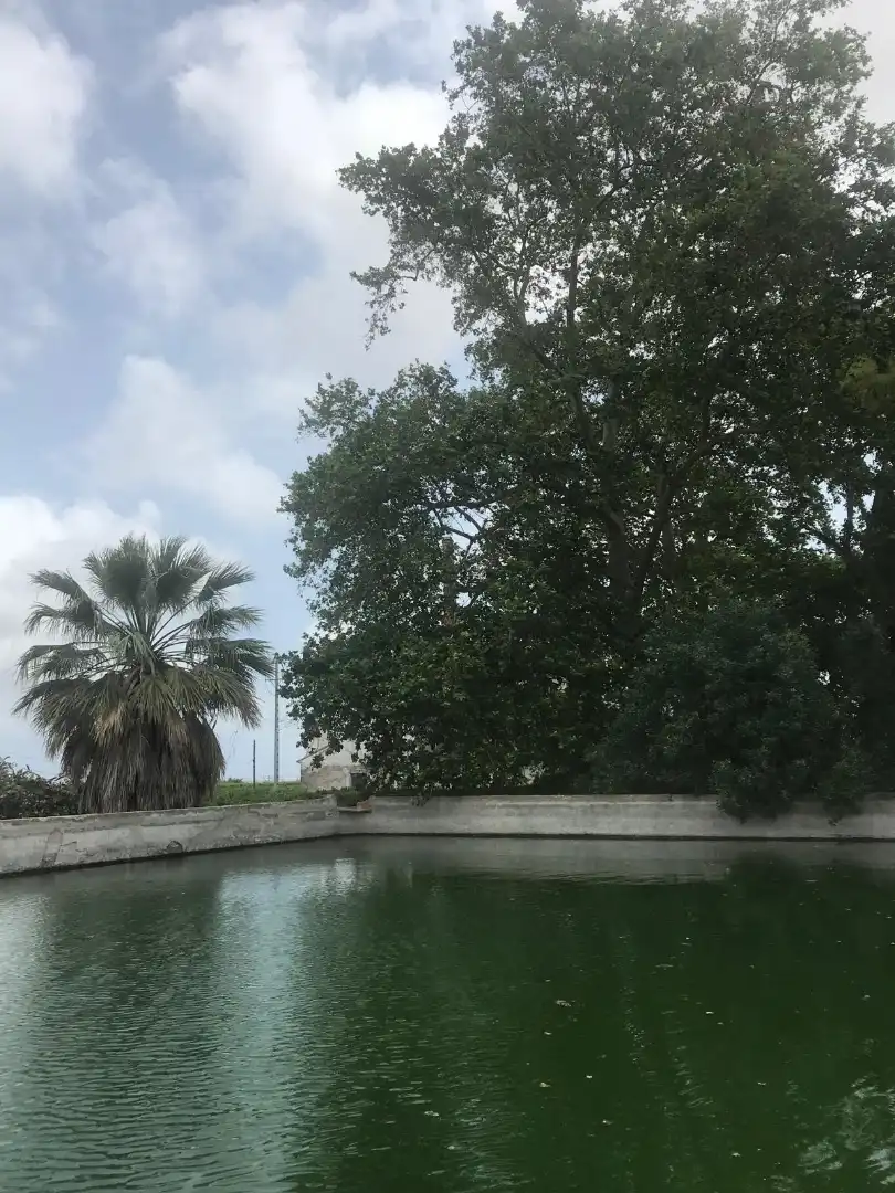 Finca rústica en venda en Benifaió amb Jardí privat, Terrassa i Traster