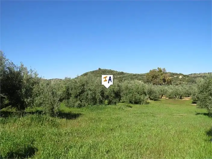 Terreni e lotti in vendita a Martos, imagen 5