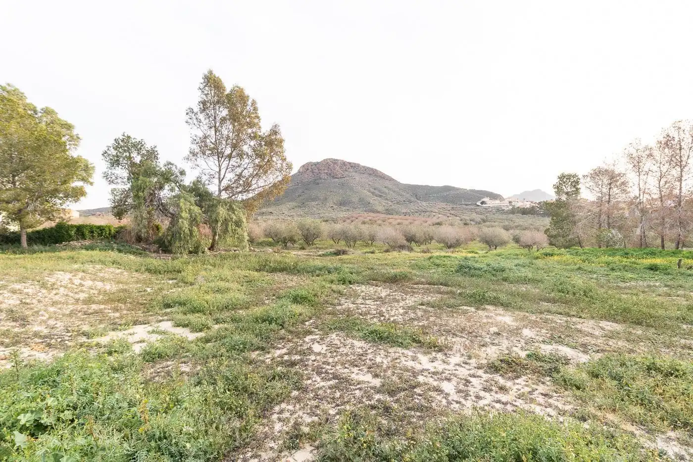 Houses for sale in Mazarrón  with Terrace