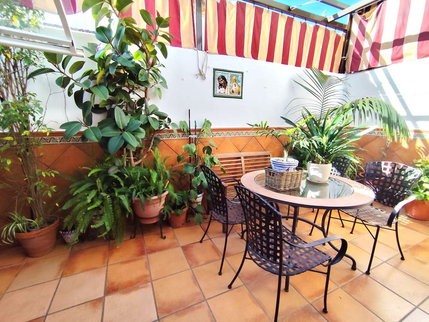 Haus oder Chalet zum Verkauf in Nueva Alcalá